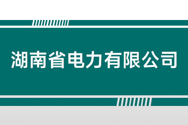 湖南省電力有限公司